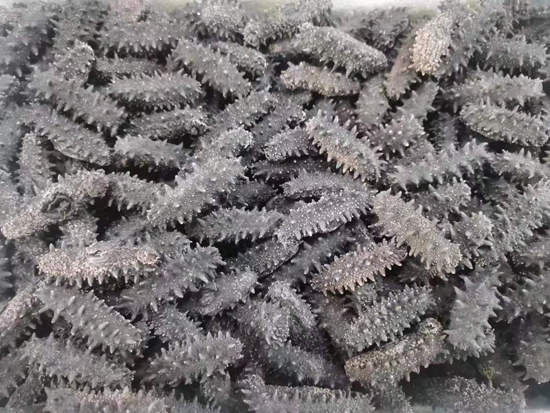 Sea dry class
