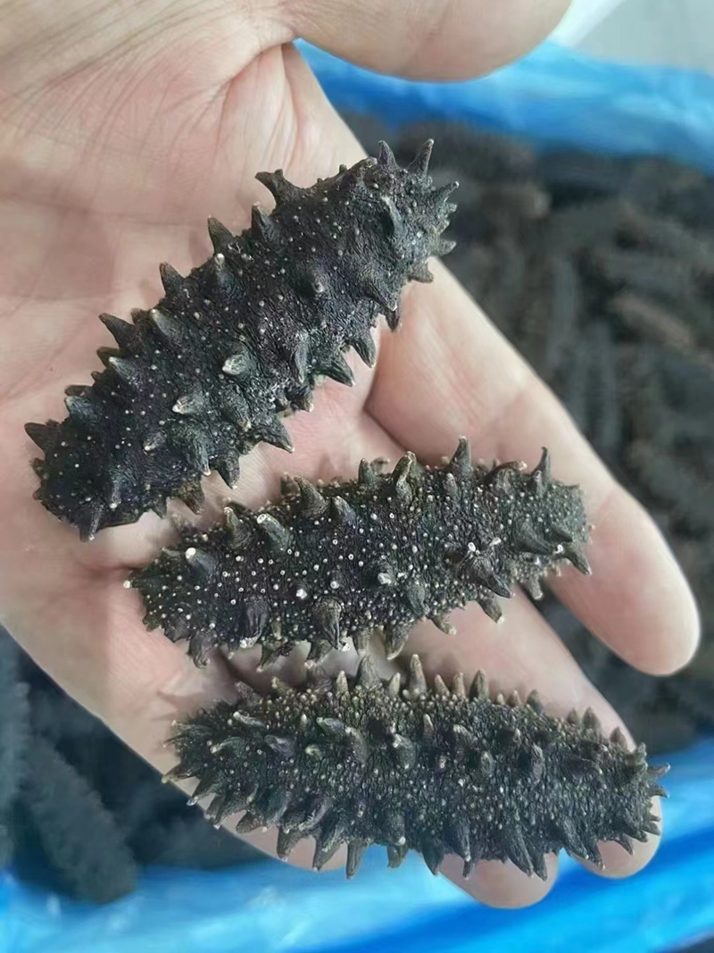 Sea dry class