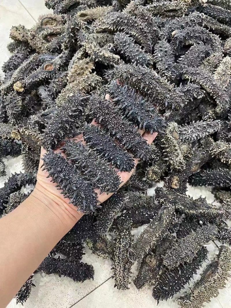 Sea dry class
