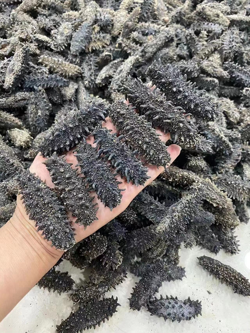 Sea dry class