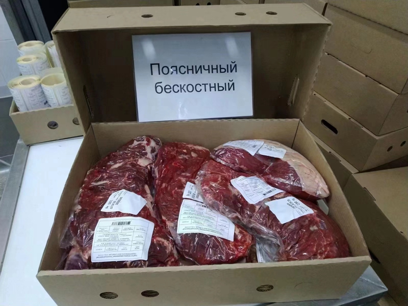 Cattle