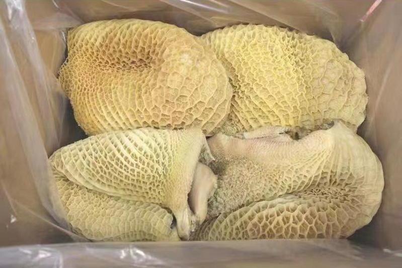Tripe