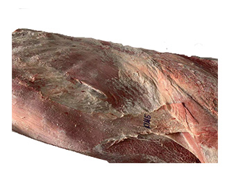 Beef